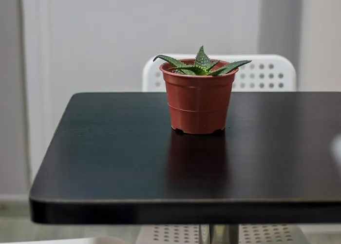 N'baz - Pedonale, * Shkodër